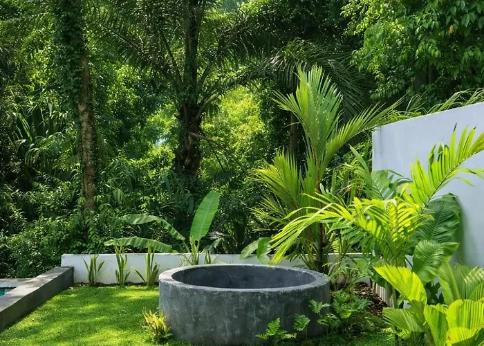 Luxury Jungle In - Infinity Pool, River View & Total Privacy 别墅